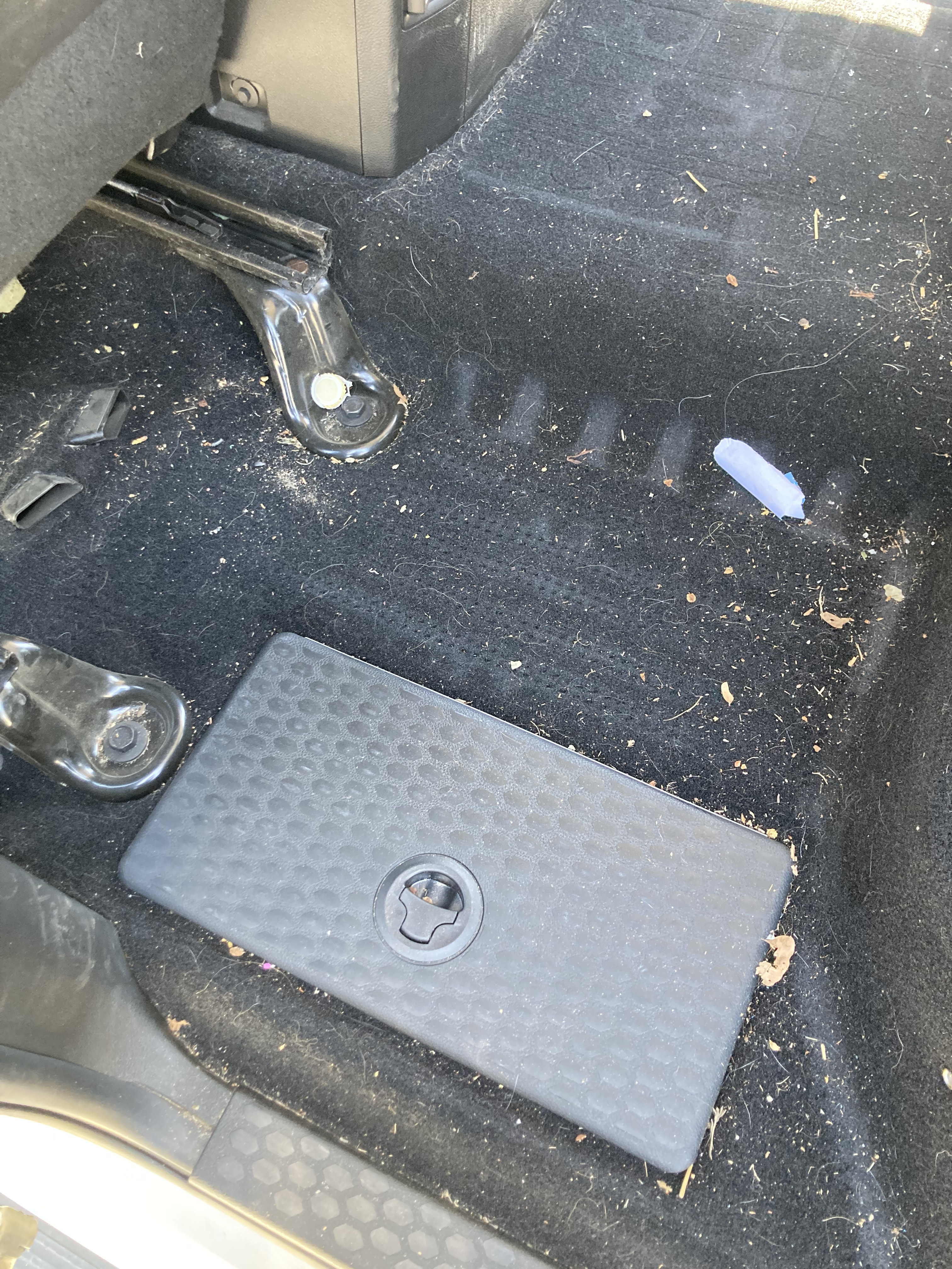 Carpet Before Cleaning