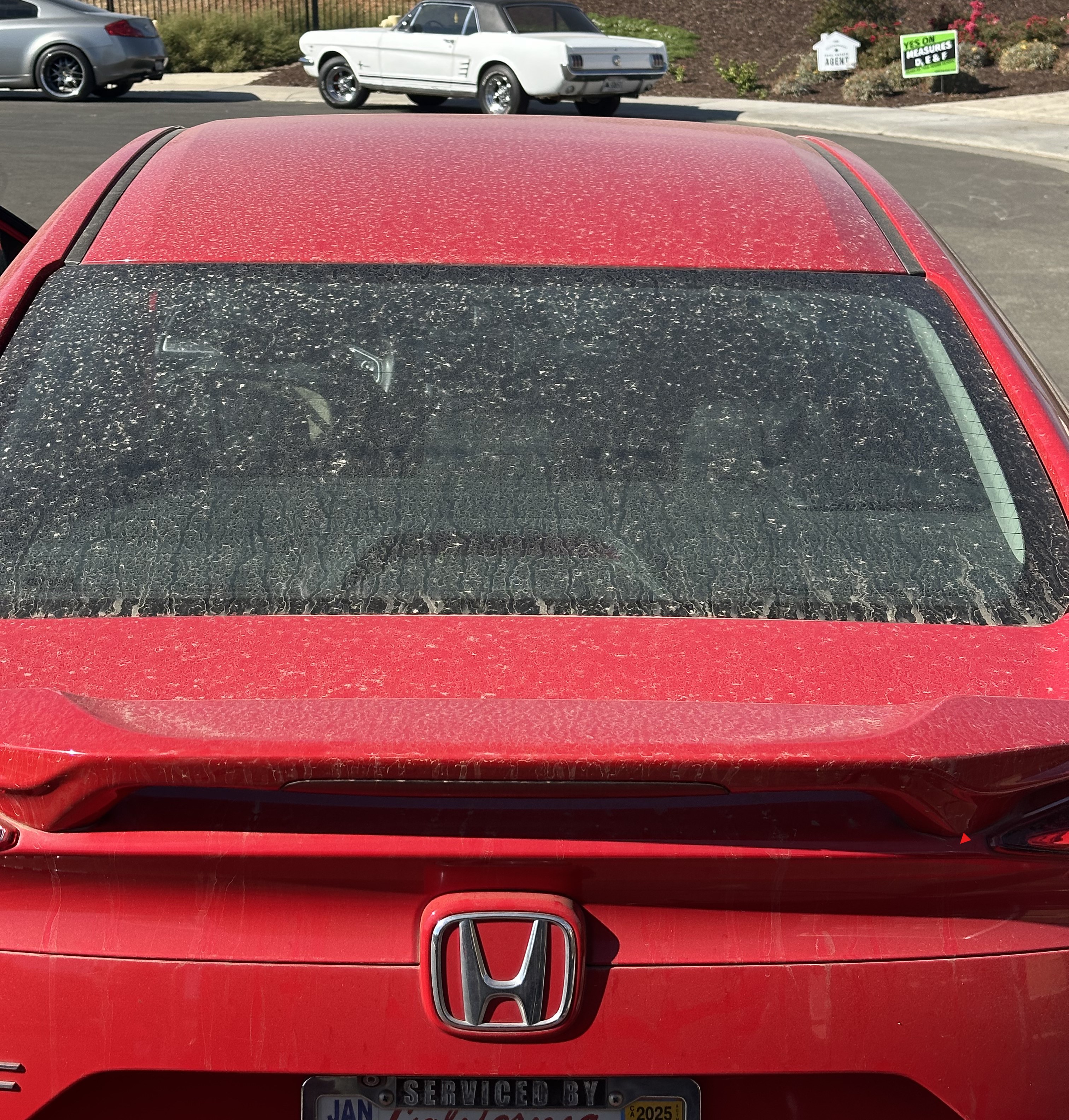 Honda Before Detailing